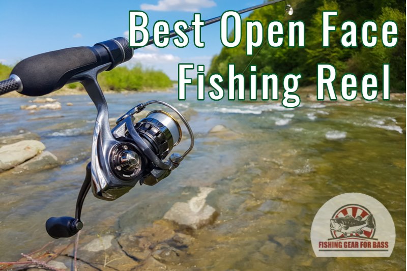 Best Spinning Reel for Bass Fishing 2021 – Top 9 Reels With Recommendations