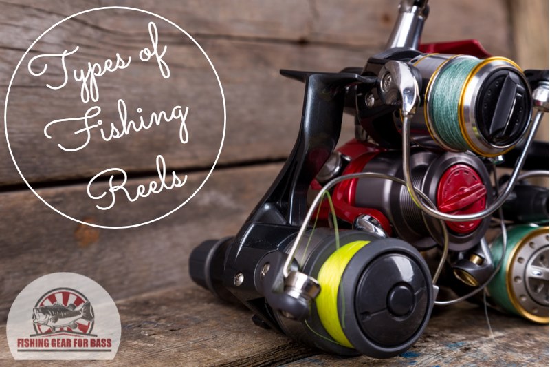 Types of Fishing Reels: Which One is Right for You? - Fishing Gear For Bass
